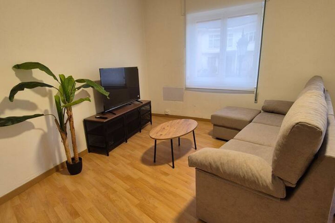 A living room with a TV, sofa, coffee table, and a potted plant.