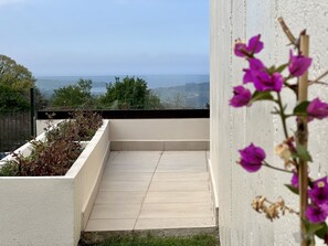 Detalle del exterior