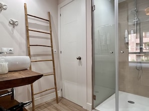 Shower, hair dryer, towels