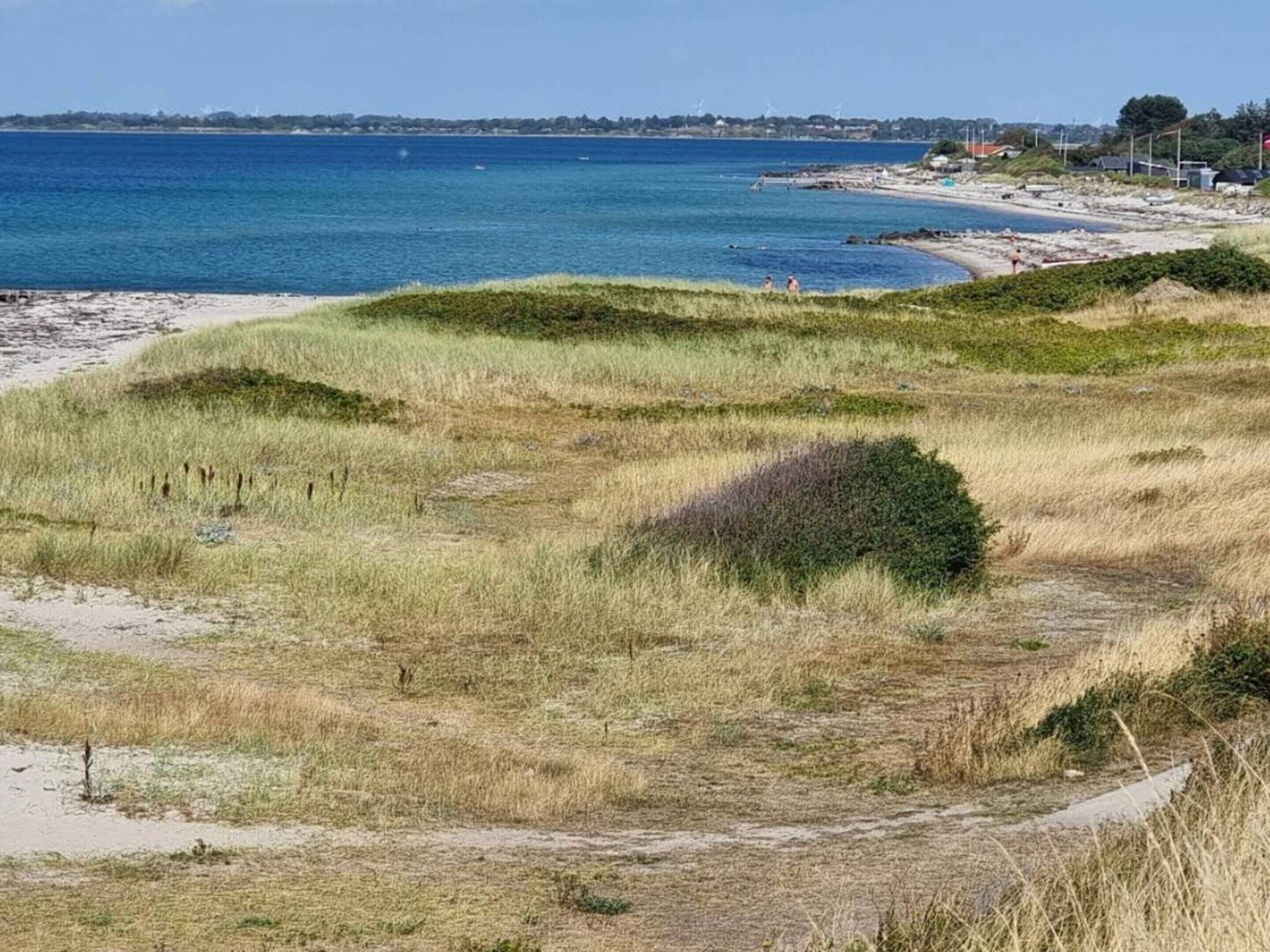 A coastal landscape with grassy dunes, a sandy beach, and a view of the sea.