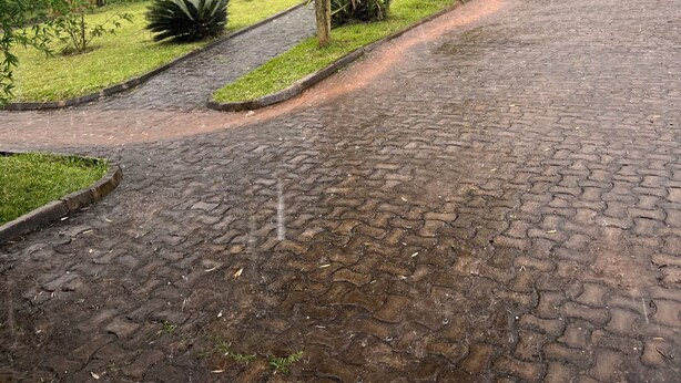 A residential area with a cobblestone driveway, green lawns, and trees. - Rafiki Safari Lodge Bwindi (Bwindi)