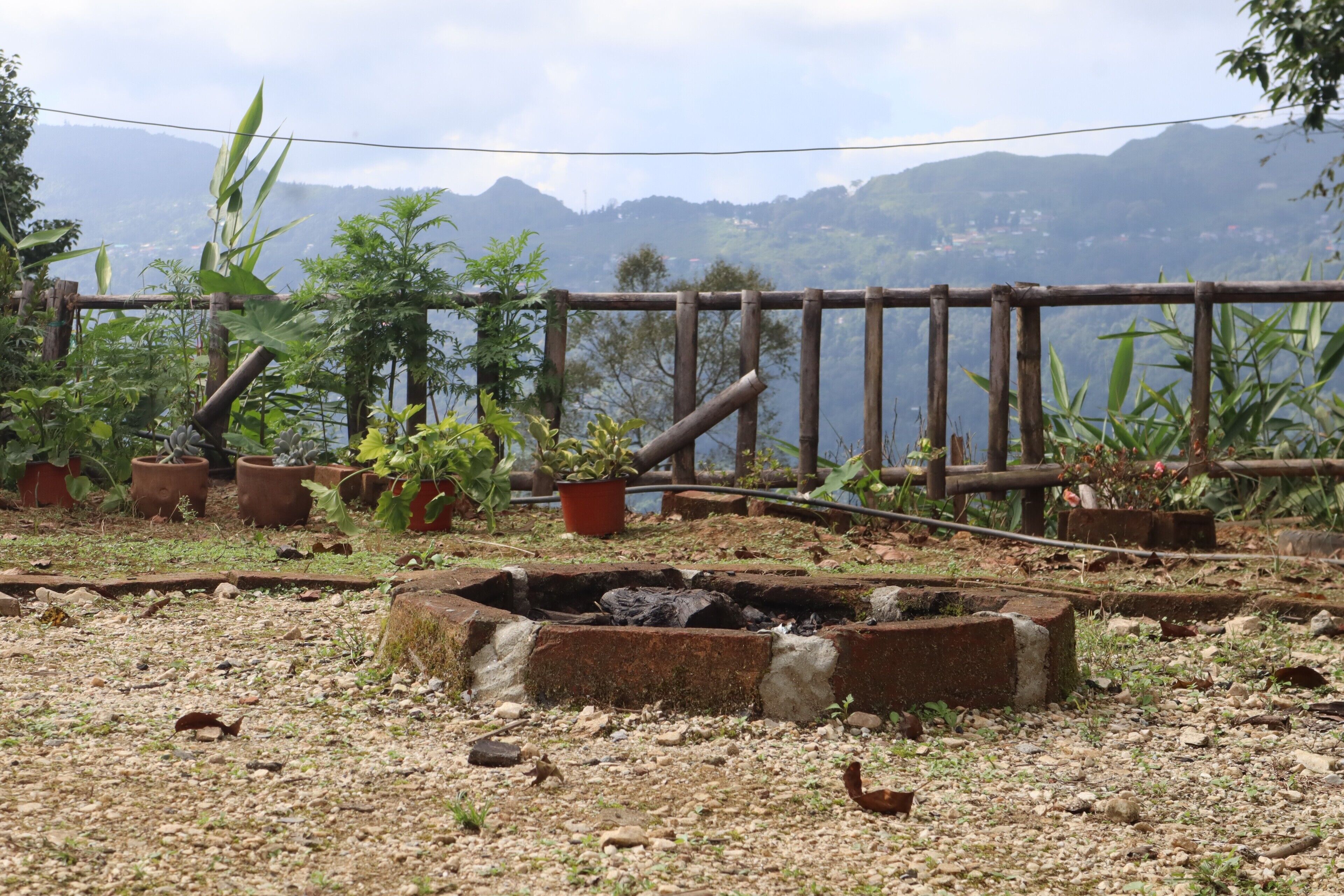 A garden with potted plants, a wooden fence, and a small pond.
