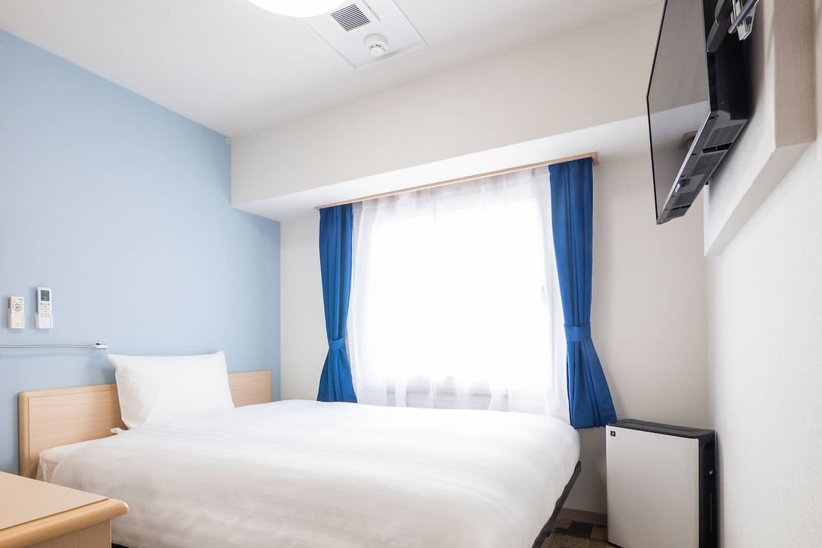 A hotel room with a bed, a desk, a TV, and a heater.