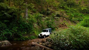 Un vehículo todoterreno blanco recorre un arroyo rocoso en un bosque verde y frondoso.