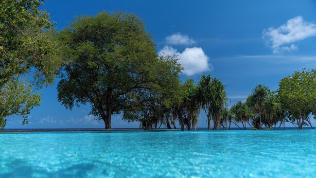 A clear blue pool surrounded by lush trees and a clear sky. - Sofanda Resort (Nangamiro)