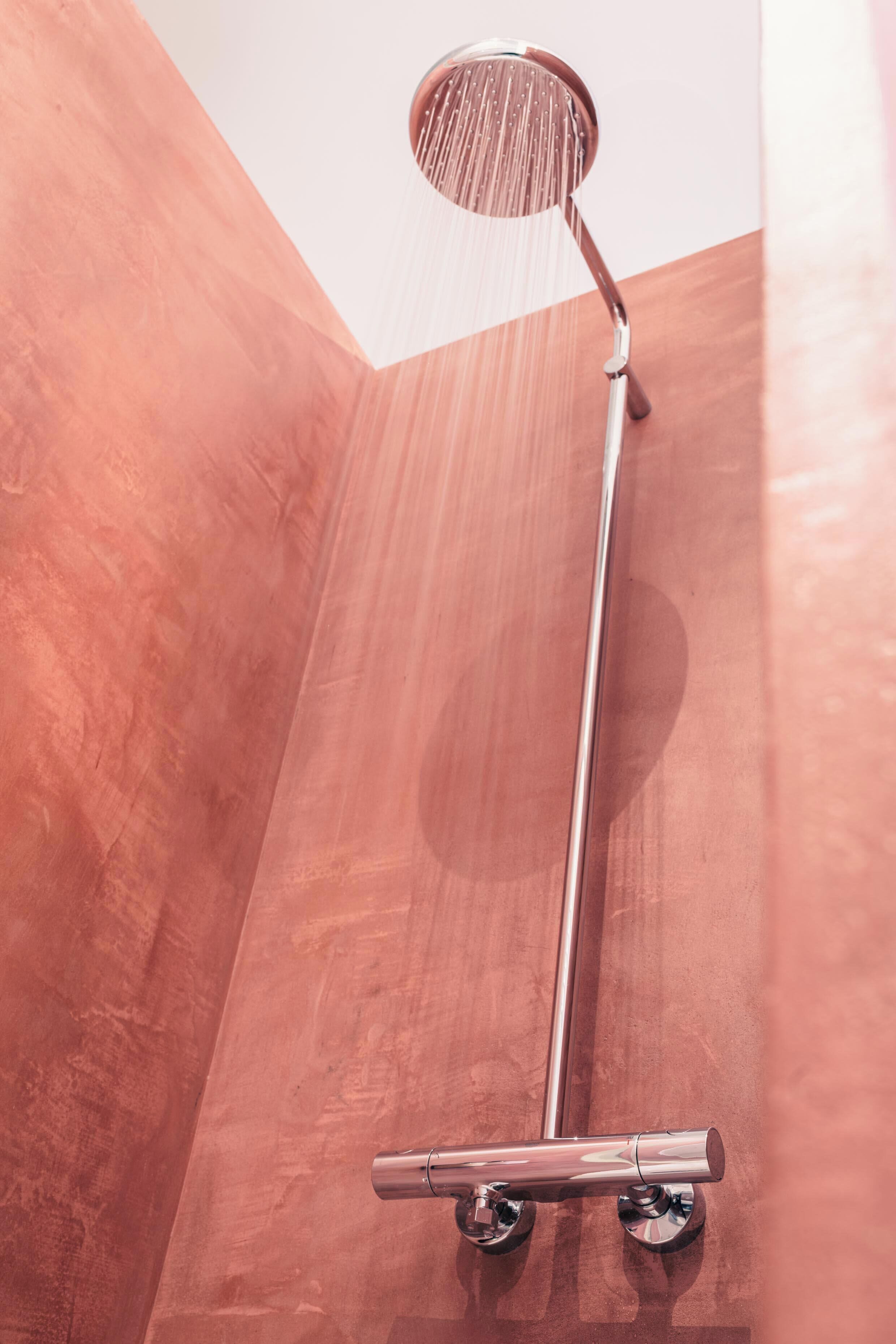 Pomme de douche portative