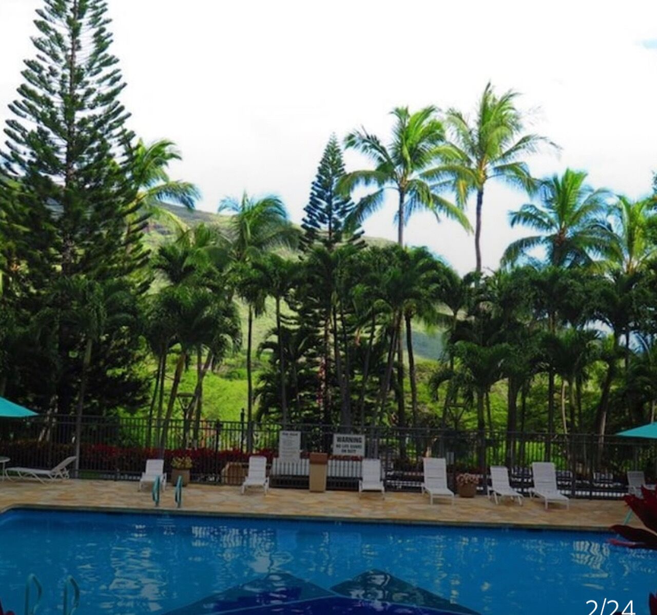 Piscine