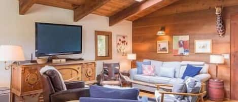 TV, fireplace, DVD player, stereo