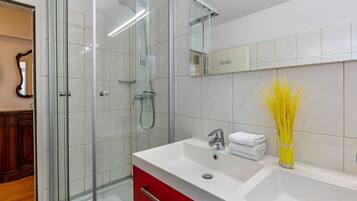 Shower, hair dryer, towels