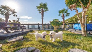 Exterior - Geoje Yeoul Pet-friendly Pension (Geoje)