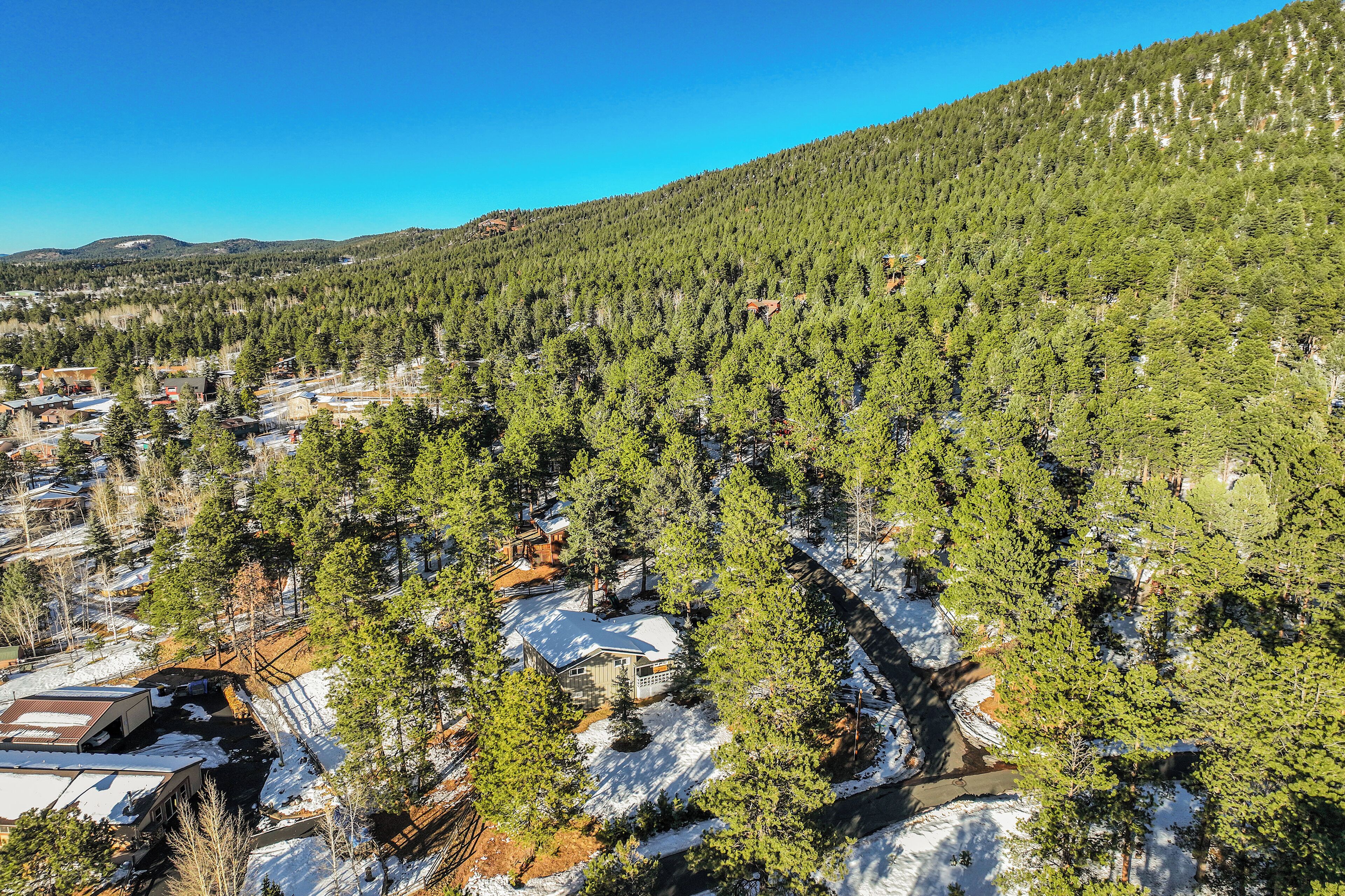 A residential area with houses surrounded by dense forests and snow-covered ground.