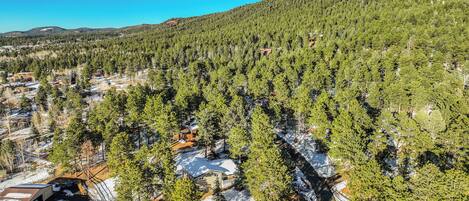 A residential area with houses surrounded by dense forests and snow-covered ground.