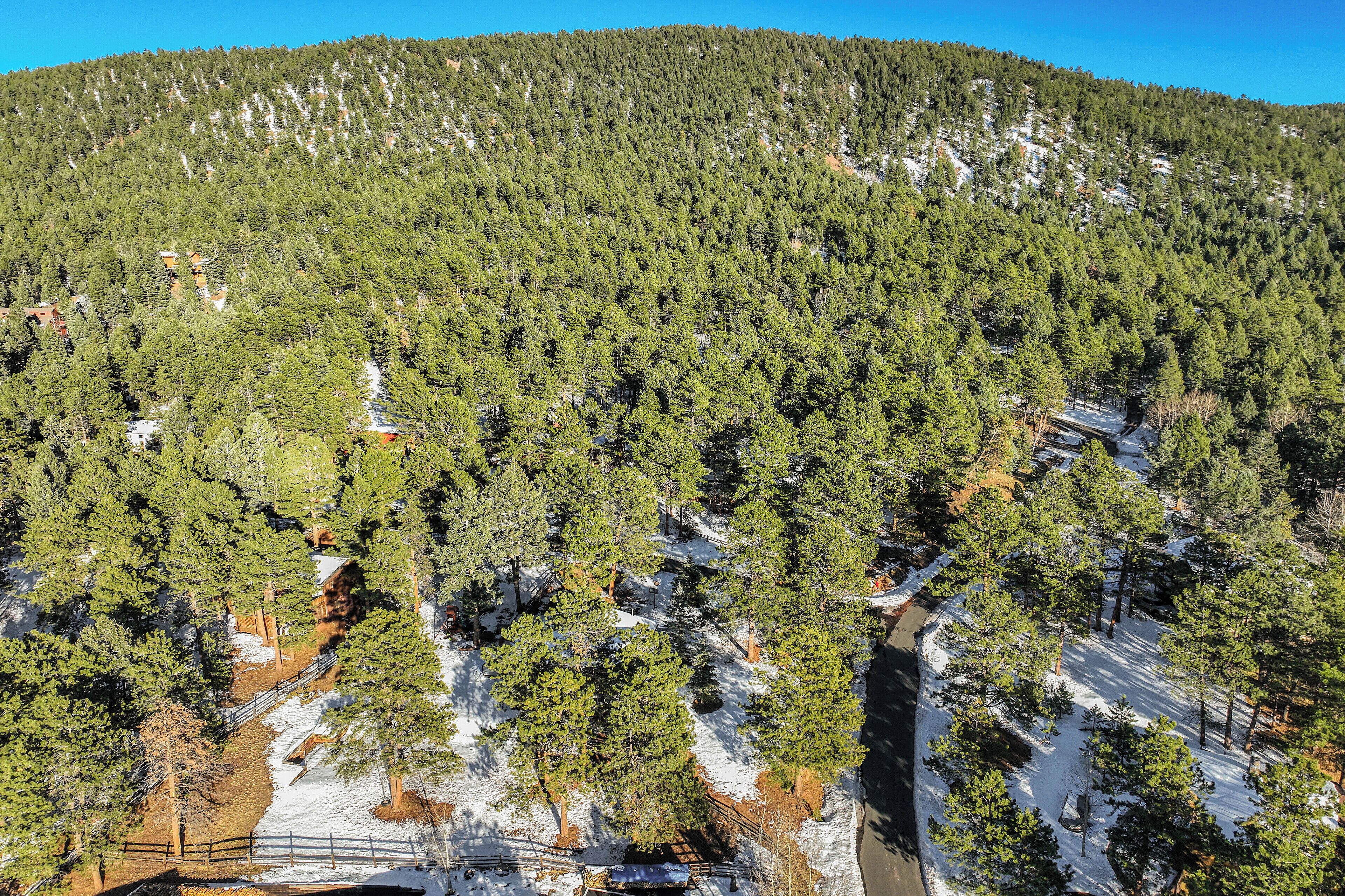 Gebirgslandschaft mit dichtem Wald und schneebedecktem Boden.