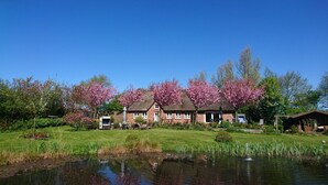 Une maison traditionnelle en briques, avec un toit de chaume, un étang et des arbres en fleurs.