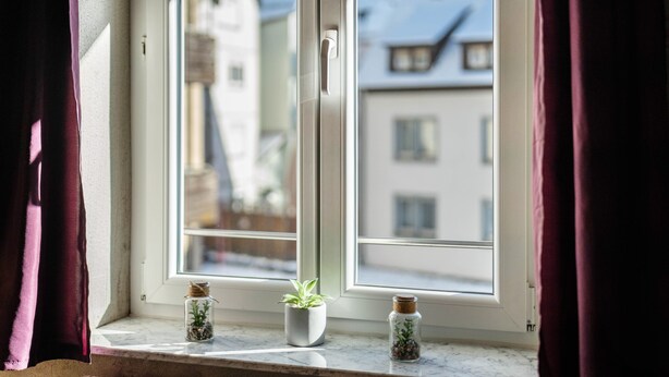A window with a view of buildings, a potted plant, and a small jar with seeds. - Single Room 57 with Wi-Fi (Bad Waldsee)