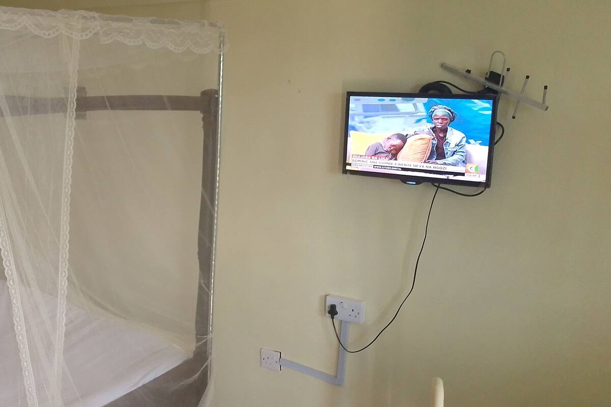 A room with a bed under a mosquito net, a television on the wall, and a power outlet.