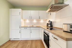Fridge, oven, stovetop, dishwasher