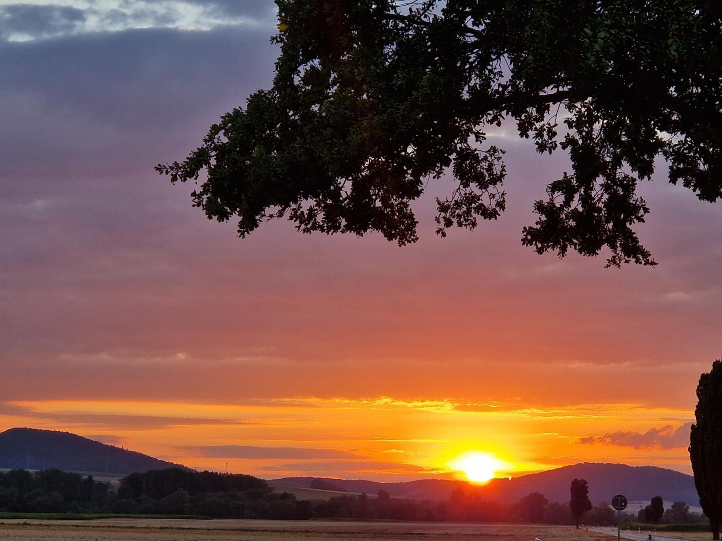A sunset over a rural landscape with a tree in the foreground.