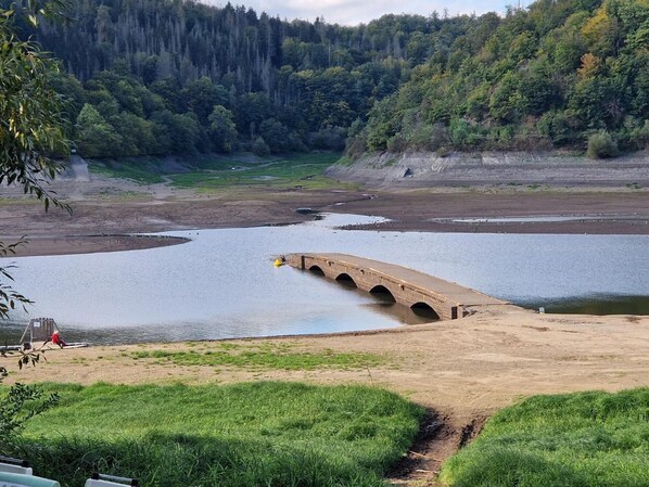 A bridge over a river with a forested hillside in the background.