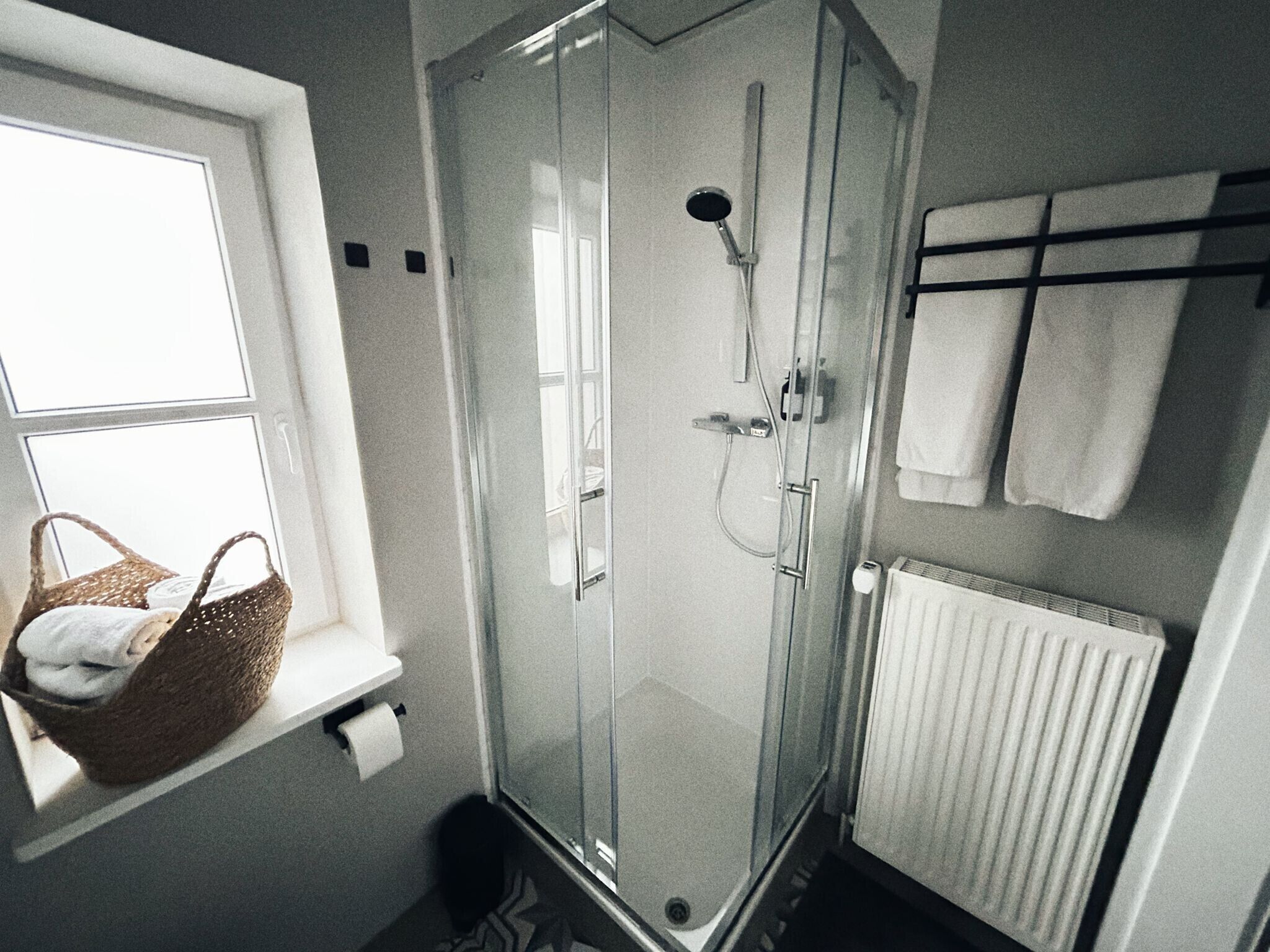 Shower, hair dryer, towels