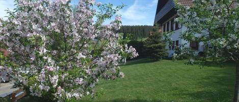 Terrain de lâhĂ©bergement