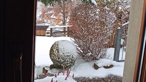 A snowy landscape with a snow-covered bush, a snow-covered tree, and a snow-covered rock. - Ground Floor Apartment '2 Rooms' with Outdoor Seating Area (St. Märgen)