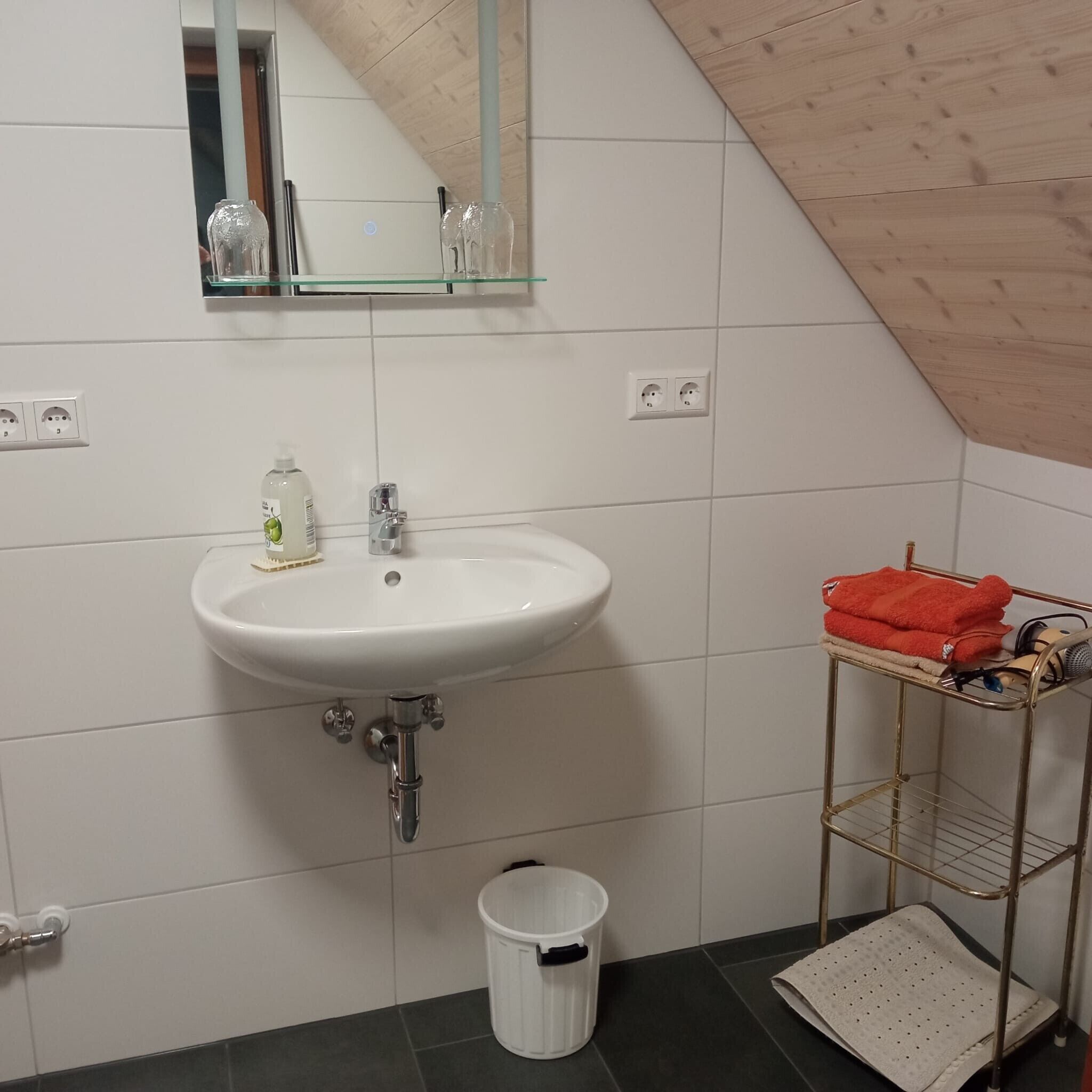 A bathroom with a white sink, a mirror, a towel rack with a towel, a trash bin, and a shower area.
