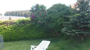 Un fauteuil de jardin blanc, placé dans un espace verdoyant, avec une haie et un arbre à feuilles persistantes.
