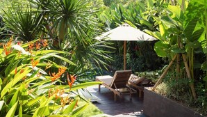 Een tuinpatio met een houten terras, twee lounge stoelen en een grote parasol.