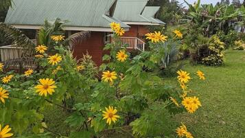 A house with a green roof, surrounded by a garden with yellow flowers and green foliage.