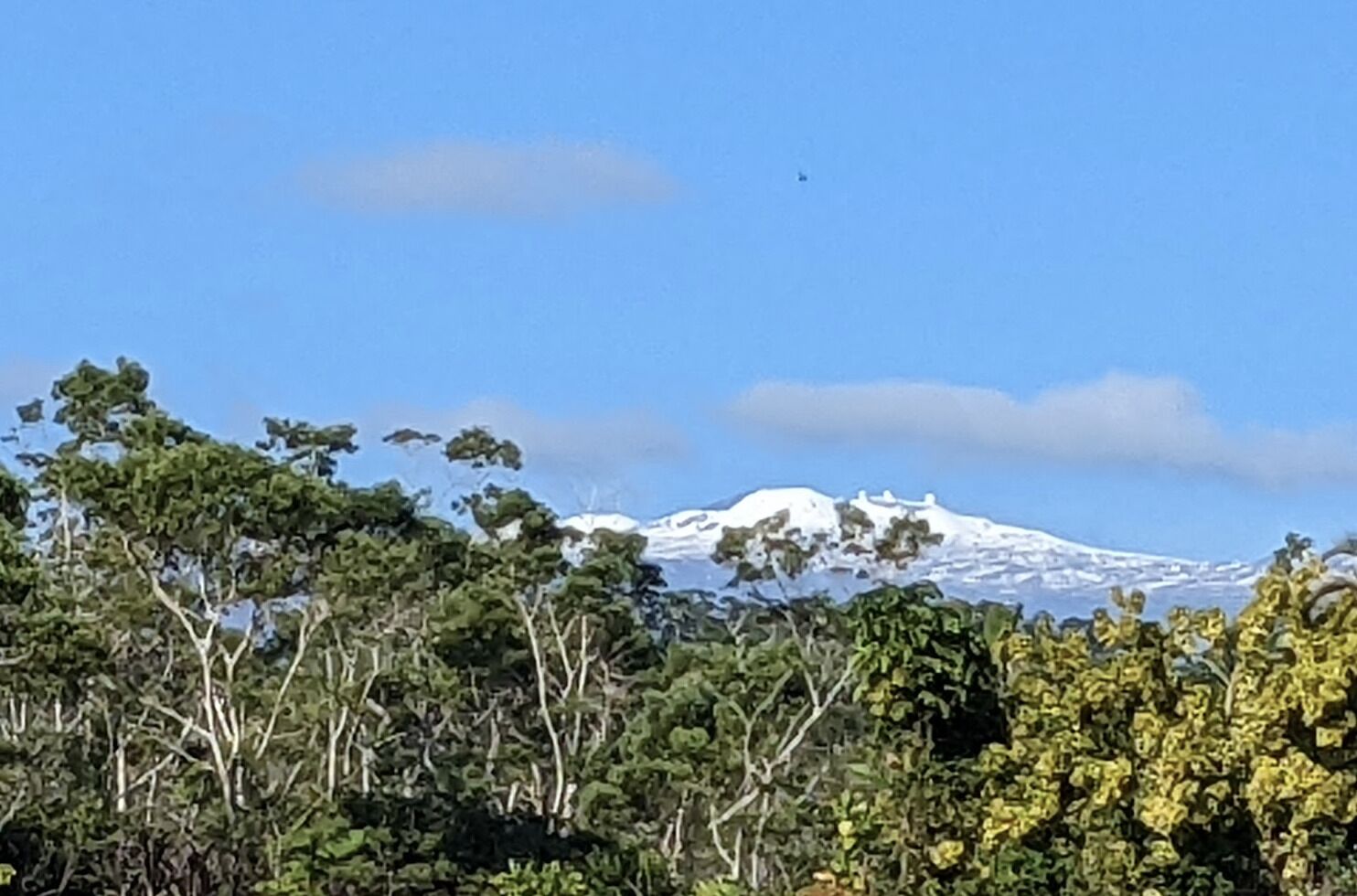 A mountain with snow-capped peaks, surrounded by dense green foliage.