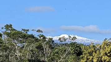 A mountain with snow-capped peaks, surrounded by dense green foliage.