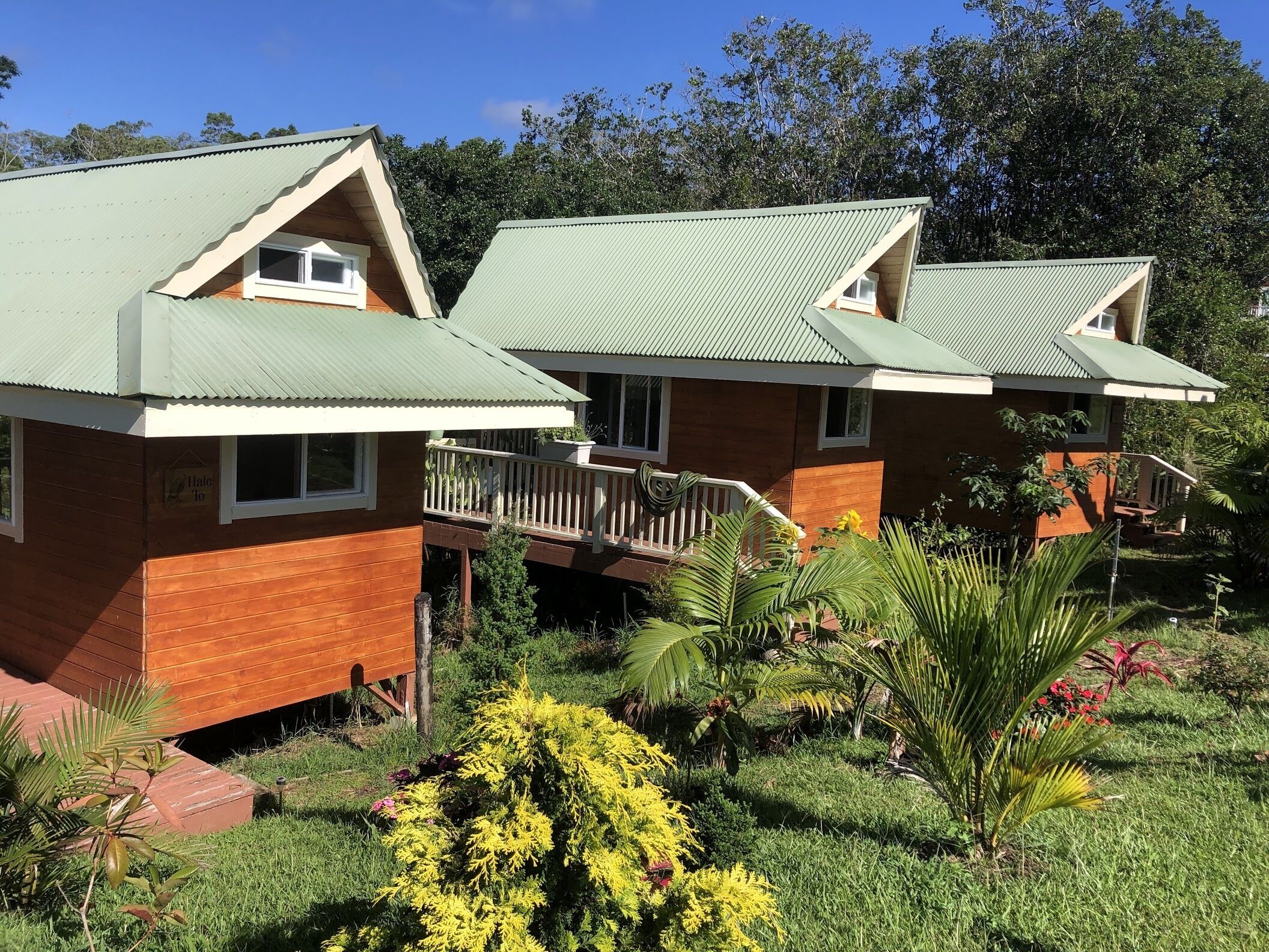A row of wooden cabins with green roofs and a small balcony, surrounded by lush greenery.