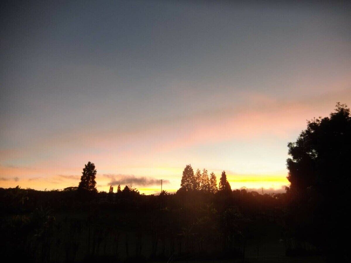 Un coucher de soleil sur un paysage boisé, avec les silhouettes des arbres se détachant sur un ciel dégagé.