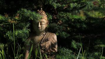 A Buddha statue surrounded by dense foliage.