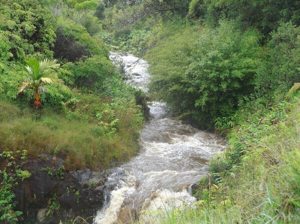 Kikala Waterfall Lodge photo 3
