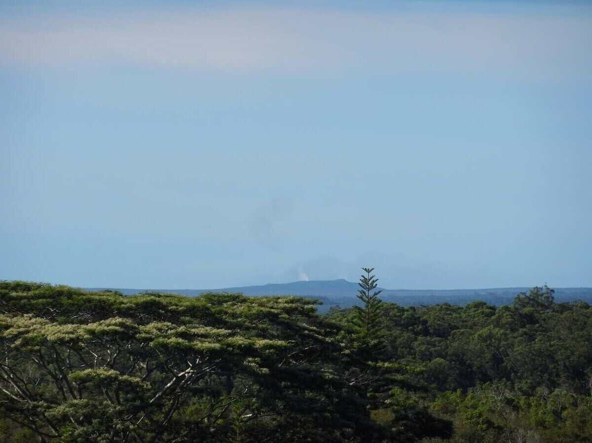 A landscape with a clear sky, a distant mountain, and dense green foliage.