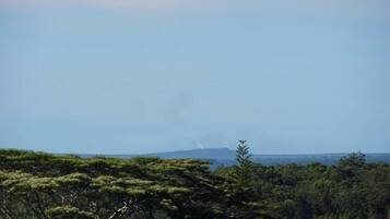 A landscape with a clear sky, a distant mountain, and dense green foliage.