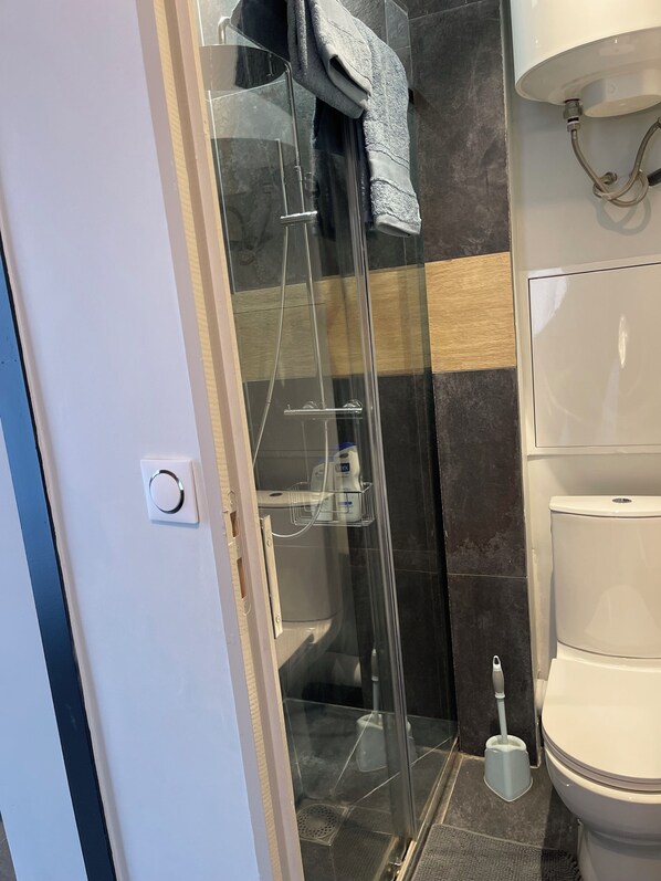 Hair dryer, towels, soap, toilet paper