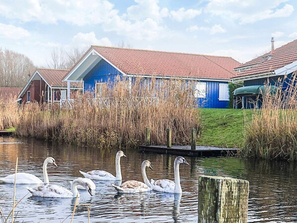 Ferienhaus | Aussenbereich