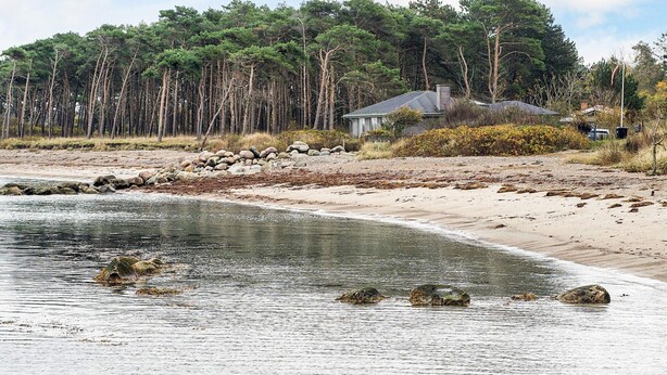 A coastal property with a beach, a house, and a forest. - Holiday Home in Nature (Gørlev)