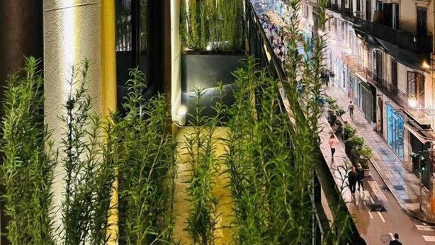 未分類圖片,第 1 張 (共 183 張),按鈕