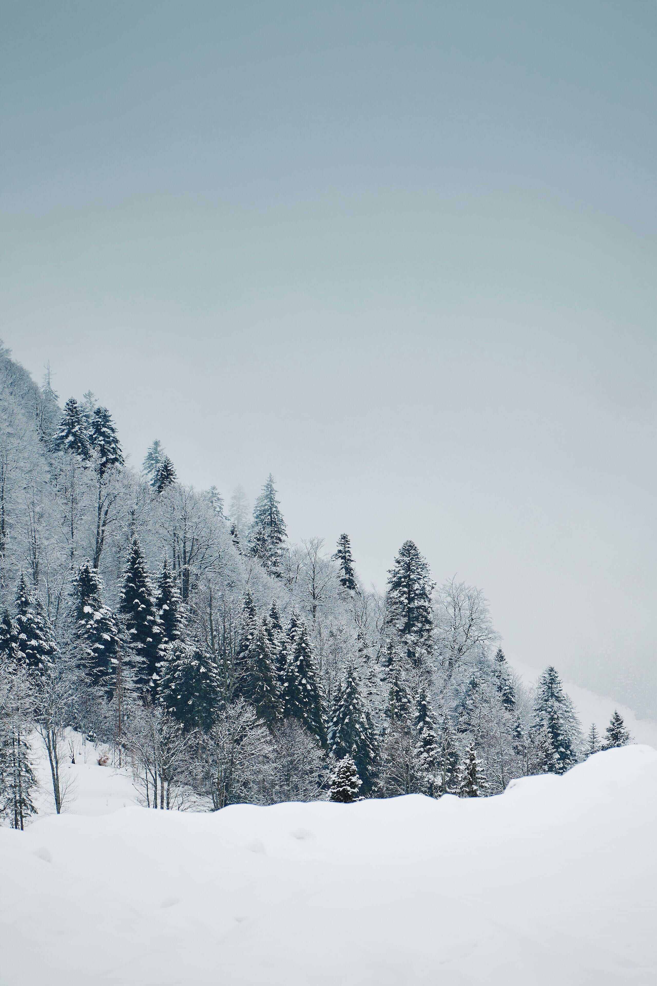 Snø- og skisport
