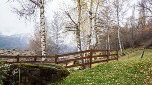 Eksteriør