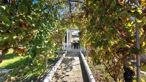 Property grounds - 4204 Villetta Delle More by Barbarhouse (Melendugno)