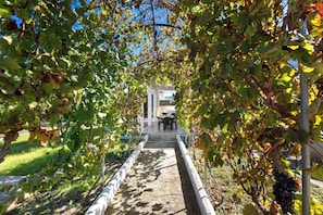 Property grounds - 4204 Villetta Delle More by Barbarhouse (Melendugno)