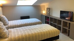 Une chambre avec deux lits, une lucarne, une télévision et une étagère avec divers objets.