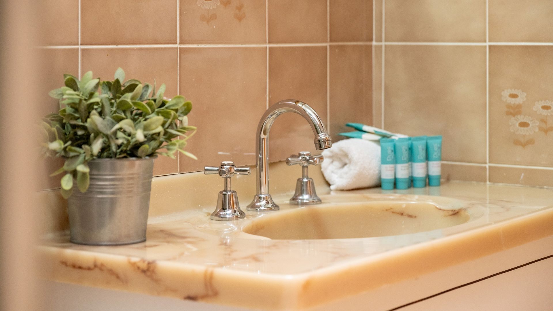 Un lavabo de salle de bain avec un plan de toilette en marbre, une plante en pot, une serviette et des articles de toilette.