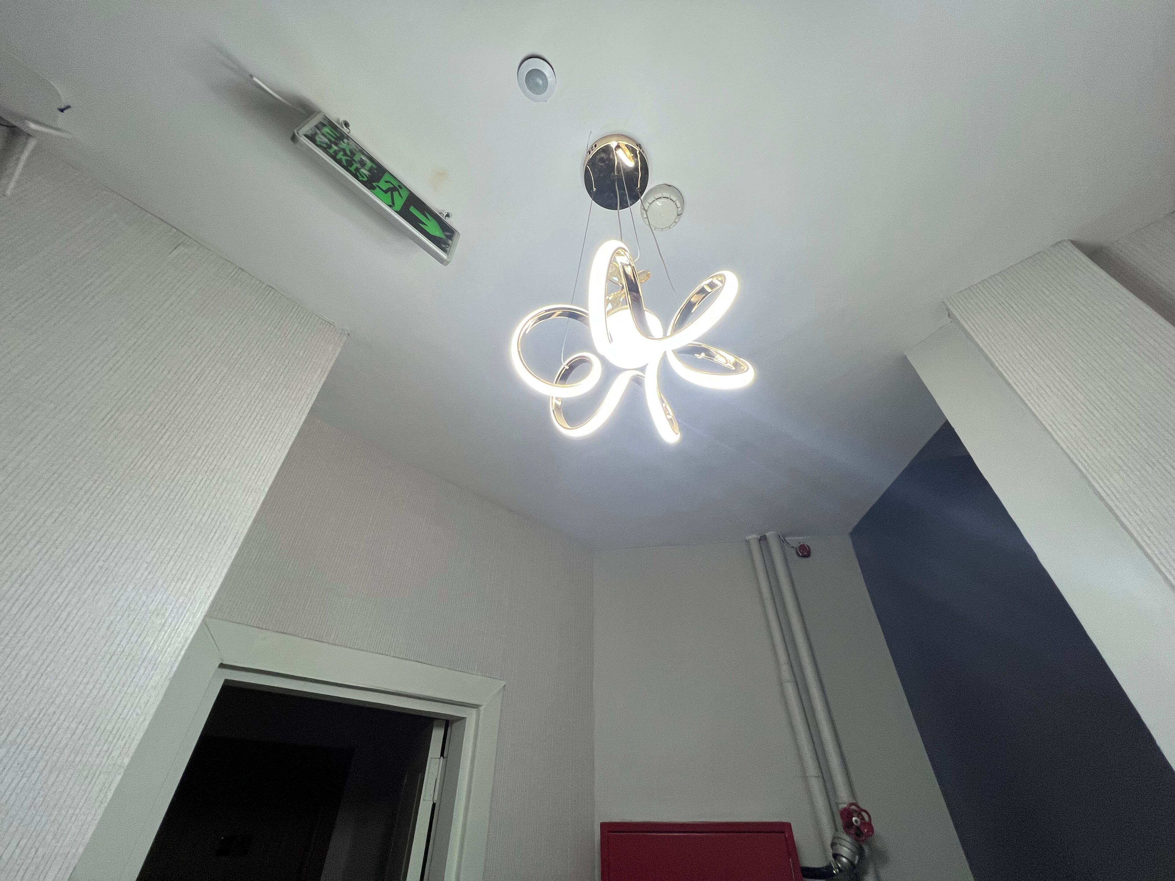 Une pièce avec un plafond blanc, un luminaire au plafond, un détecteur de fumée et une porte.