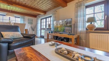 Fernseher, Stereoanlage